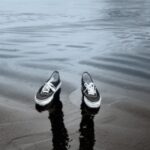 Diga-me quantos seguidores tens e te direi quem és!